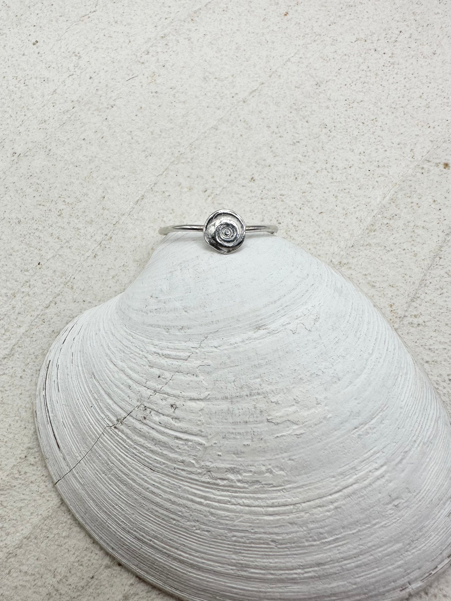 Shell Ring Silver