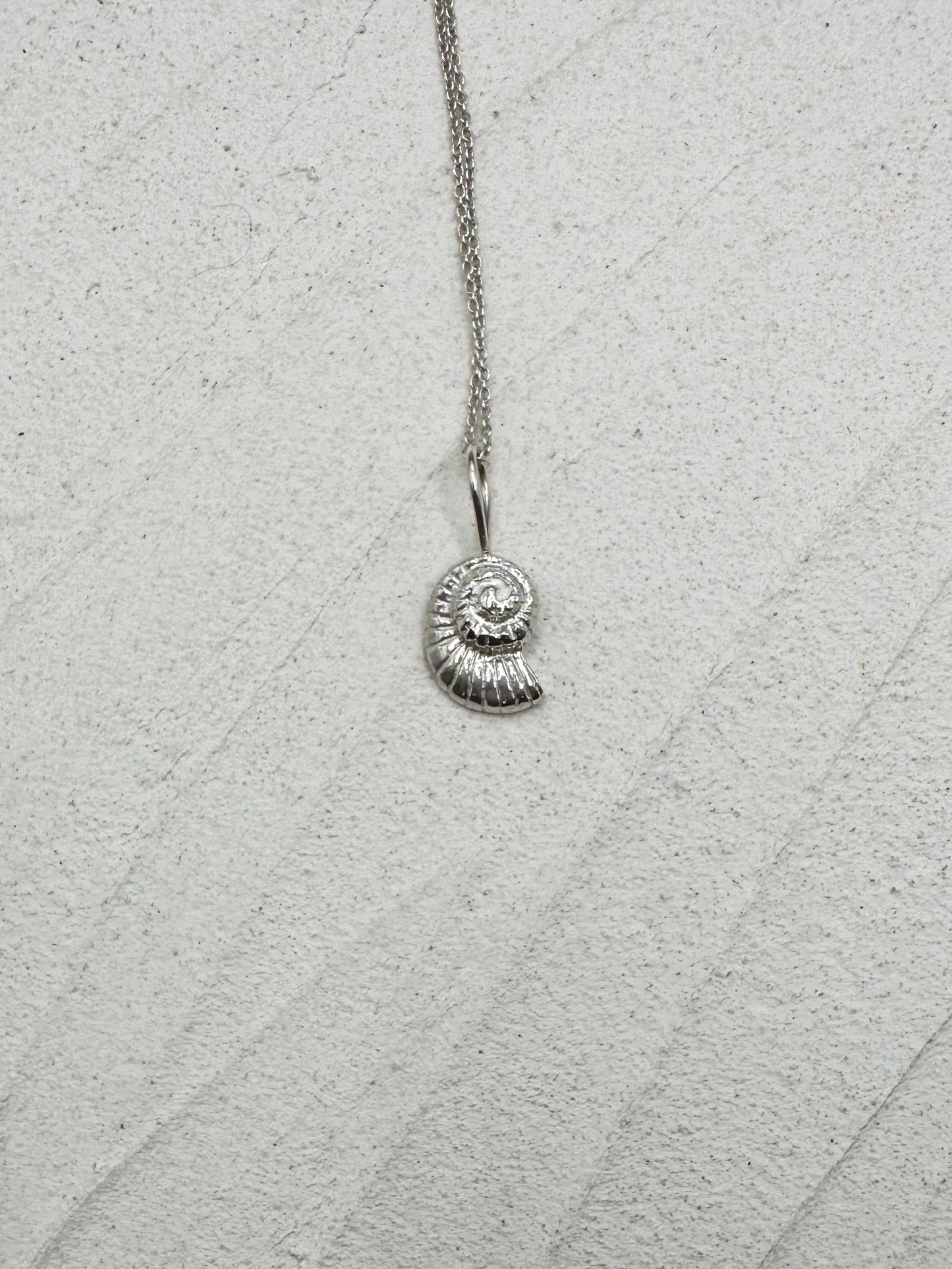 Ammonite Pendant
