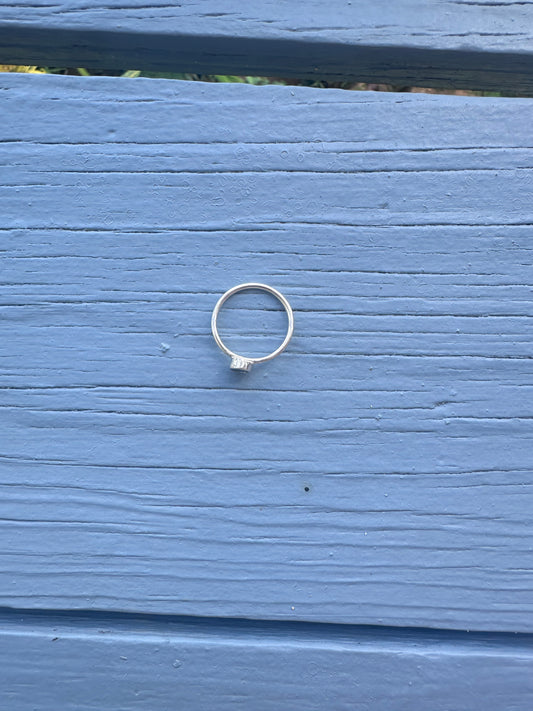 Mussel Shell Ring Silver