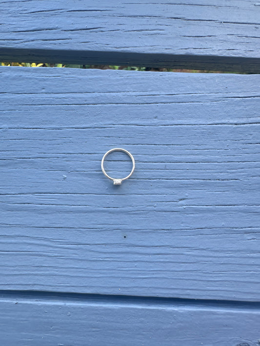 Mussel Shell Ring Silver