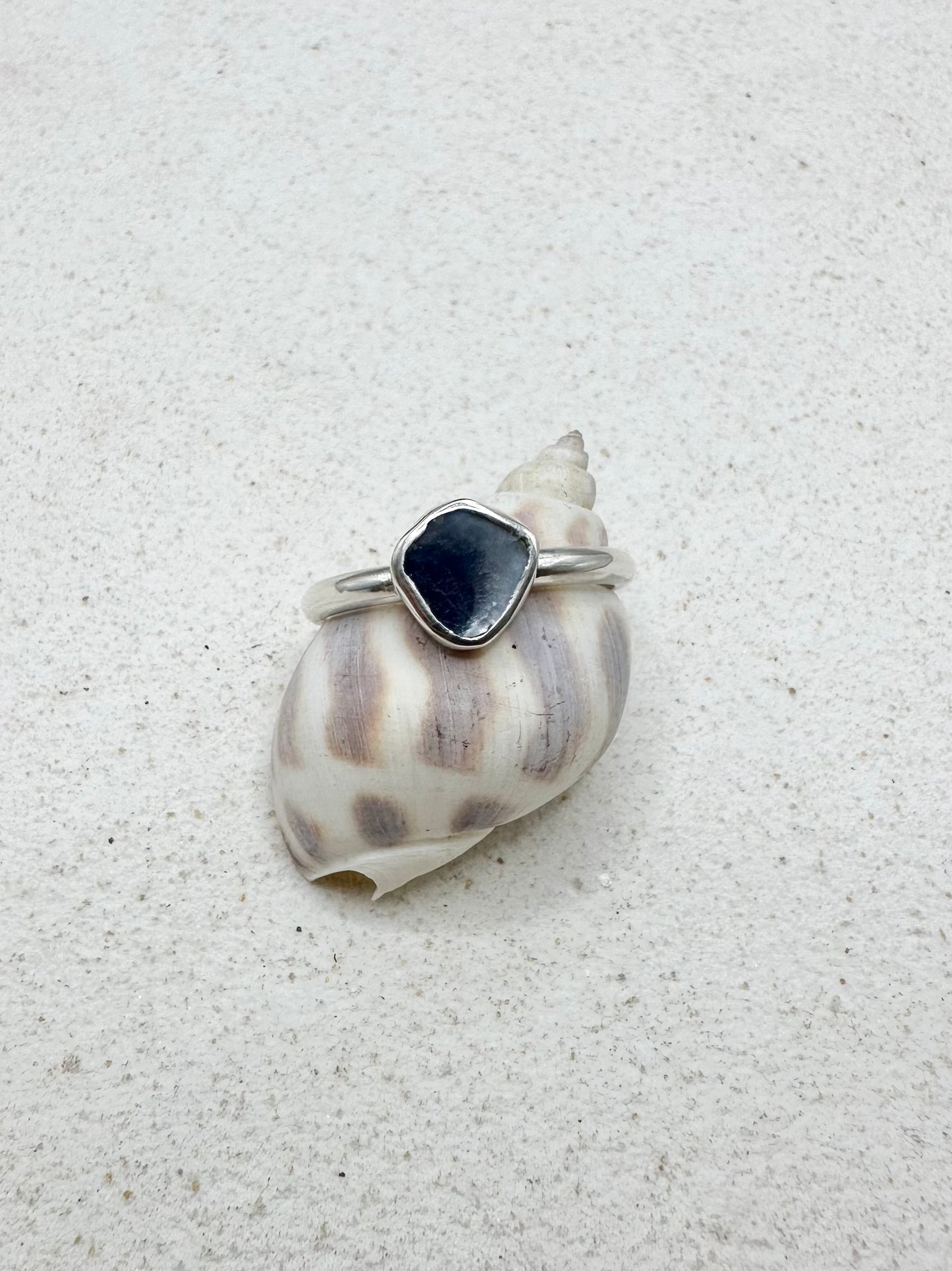 Mussel Shell Ring Silver