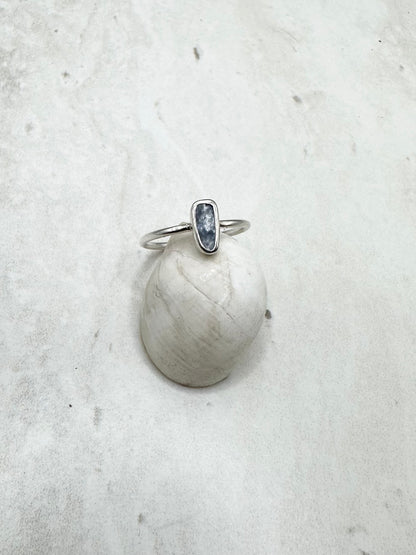 Mussel Shell Ring Silver - Q