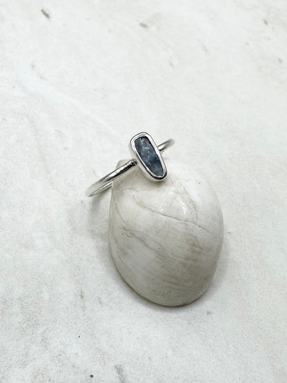 Mussel Shell Ring Silver - Q