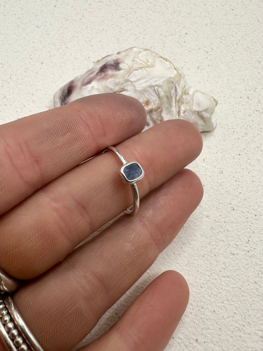 Mussel Shell Ring Silver