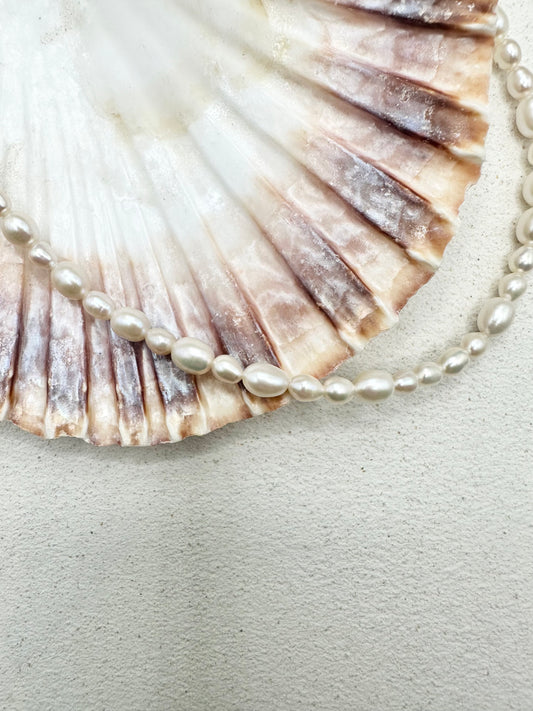Pearl Necklace