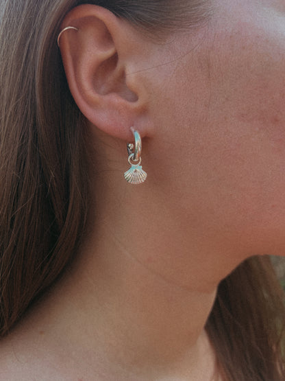 Seashell Charms on Silver