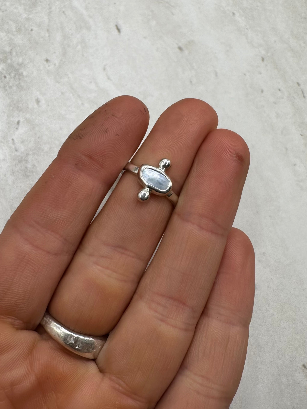 Mussel Shell Ring Silver - L
