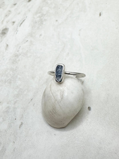 Mussel Shell Ring Silver - Q