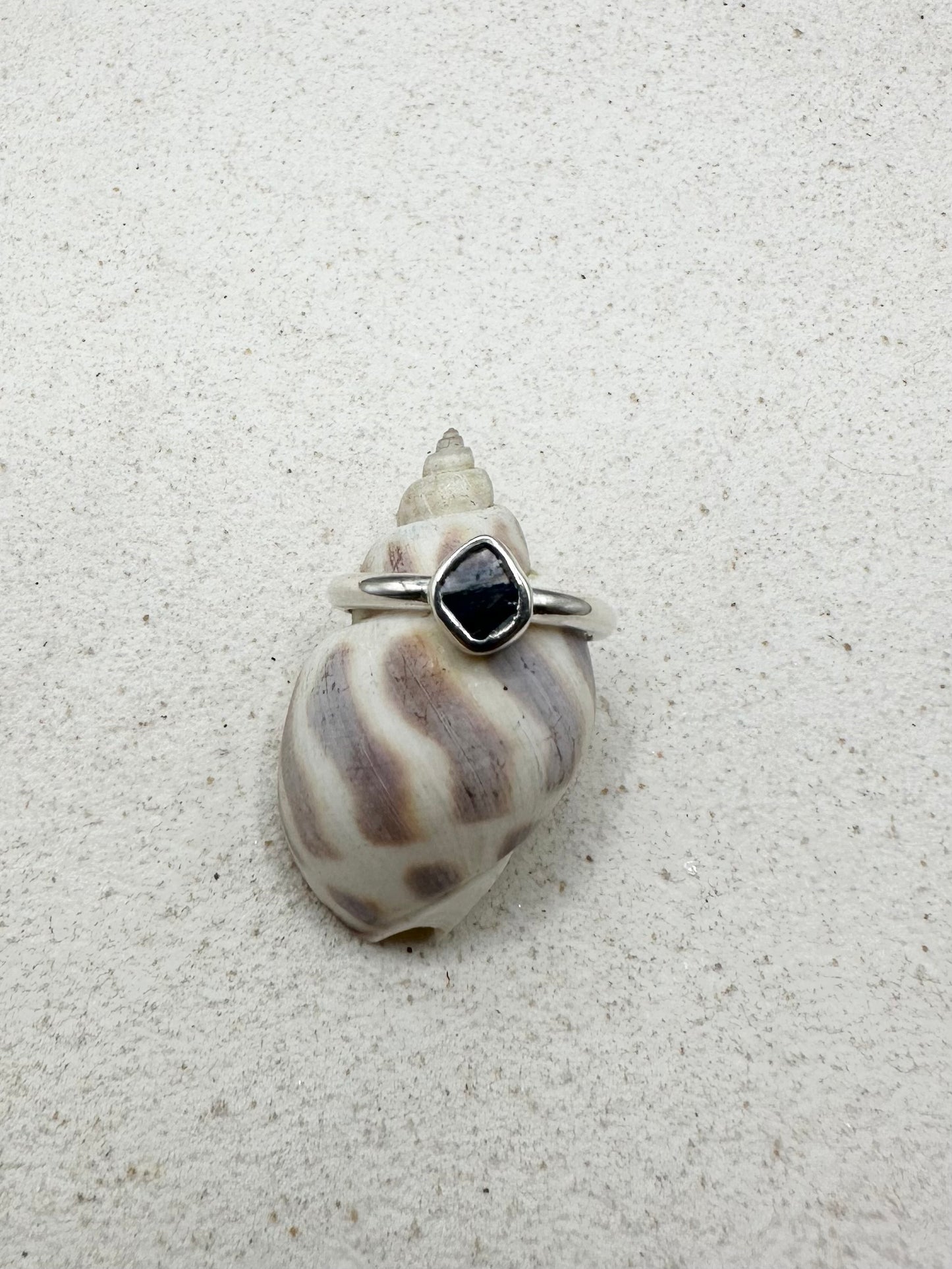 Mussel Shell Ring Silver