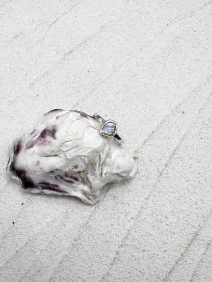 Abalone Ring Silver