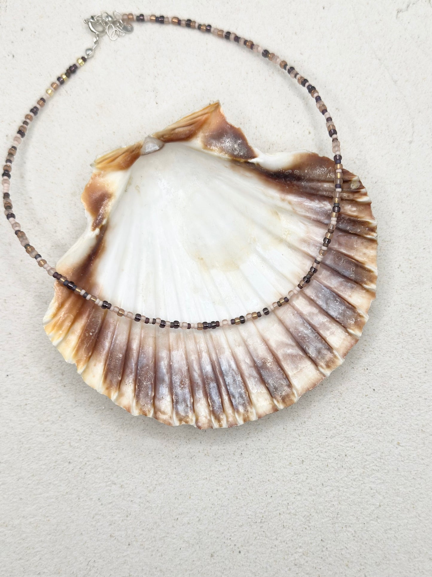 Seashell Necklace