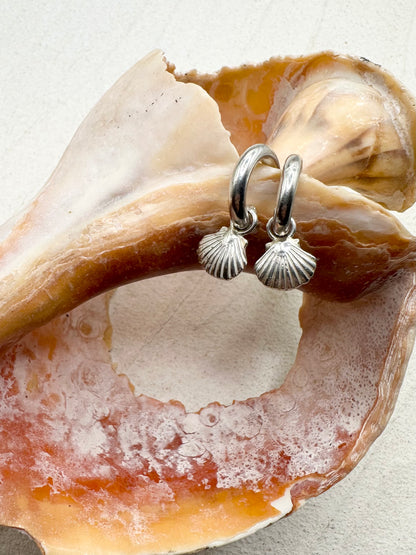 Seashell Charms on Silver