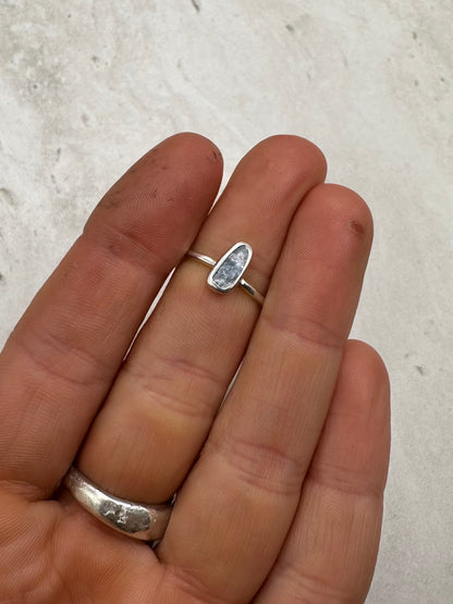 Mussel Shell Ring Silver - Q