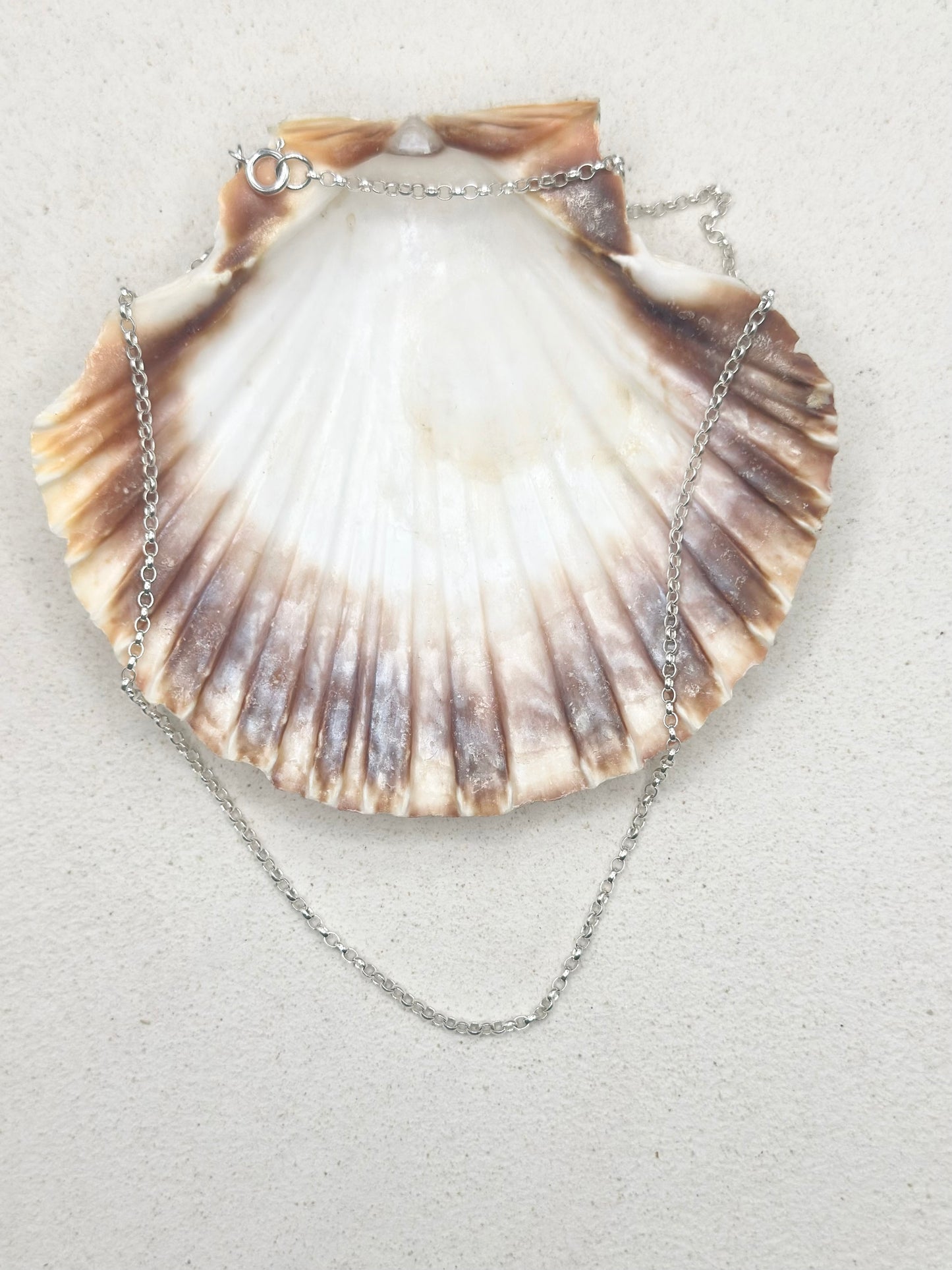 Thick Chain Silver